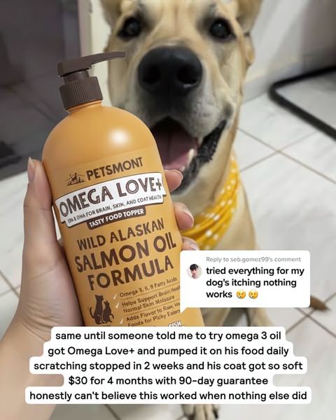 A high-conversion salmon oil ad that uses a direct response testimonial reply to build social proof and address pet skin issues.